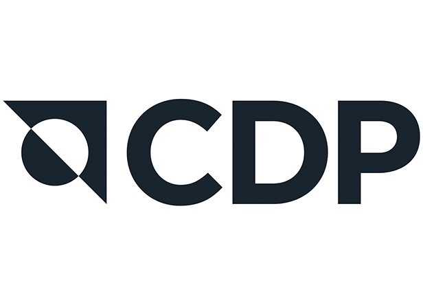 Das Logo zeigt die Buchstaben 'CDP' in einer modernen Schriftart, umgeben von geometrischen Formen.