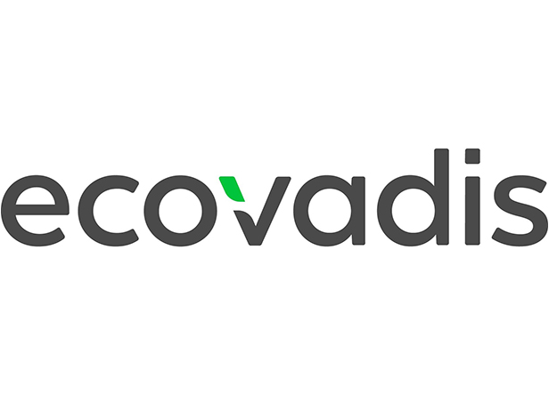 Das Logo von Ecovadis zeigt den Schriftzug in grauer Schrift mit einem grünen Akzent im Buchstaben 'v'.